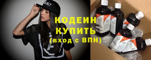 индика Волоколамск