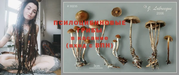 mix Бородино