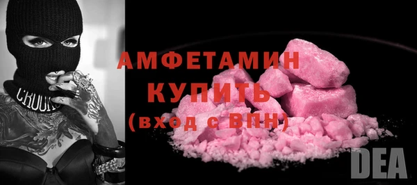 индика Волоколамск