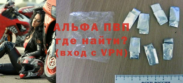 индика Волоколамск