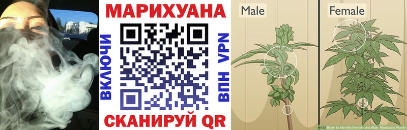 цены   Макаров  Бошки марихуана тримм 